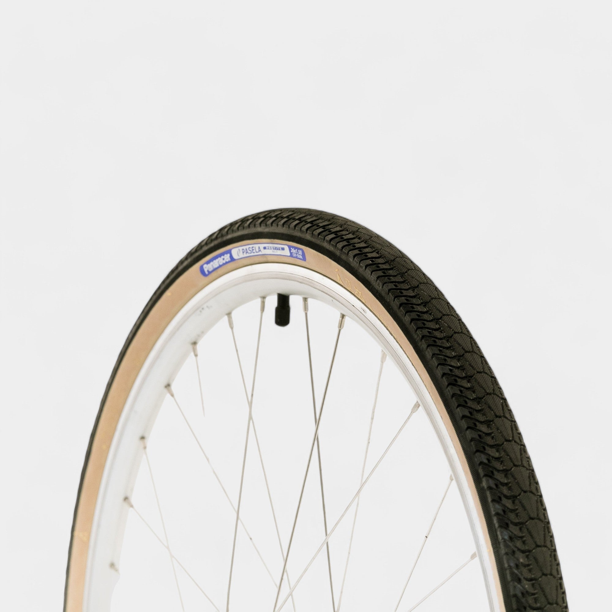 Pasela Tire (26 x 1.50)