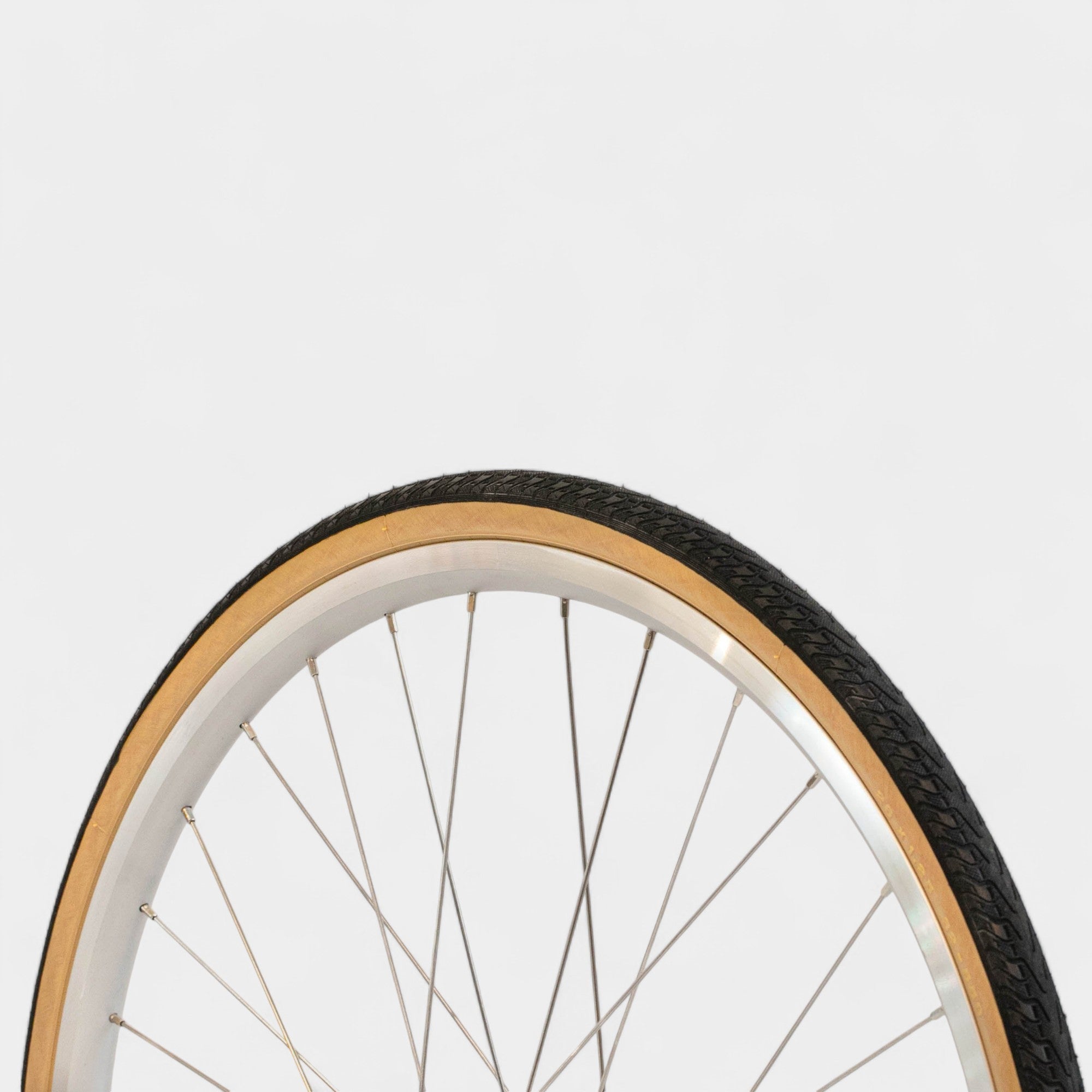 Pasela Tire (650 x 28c)