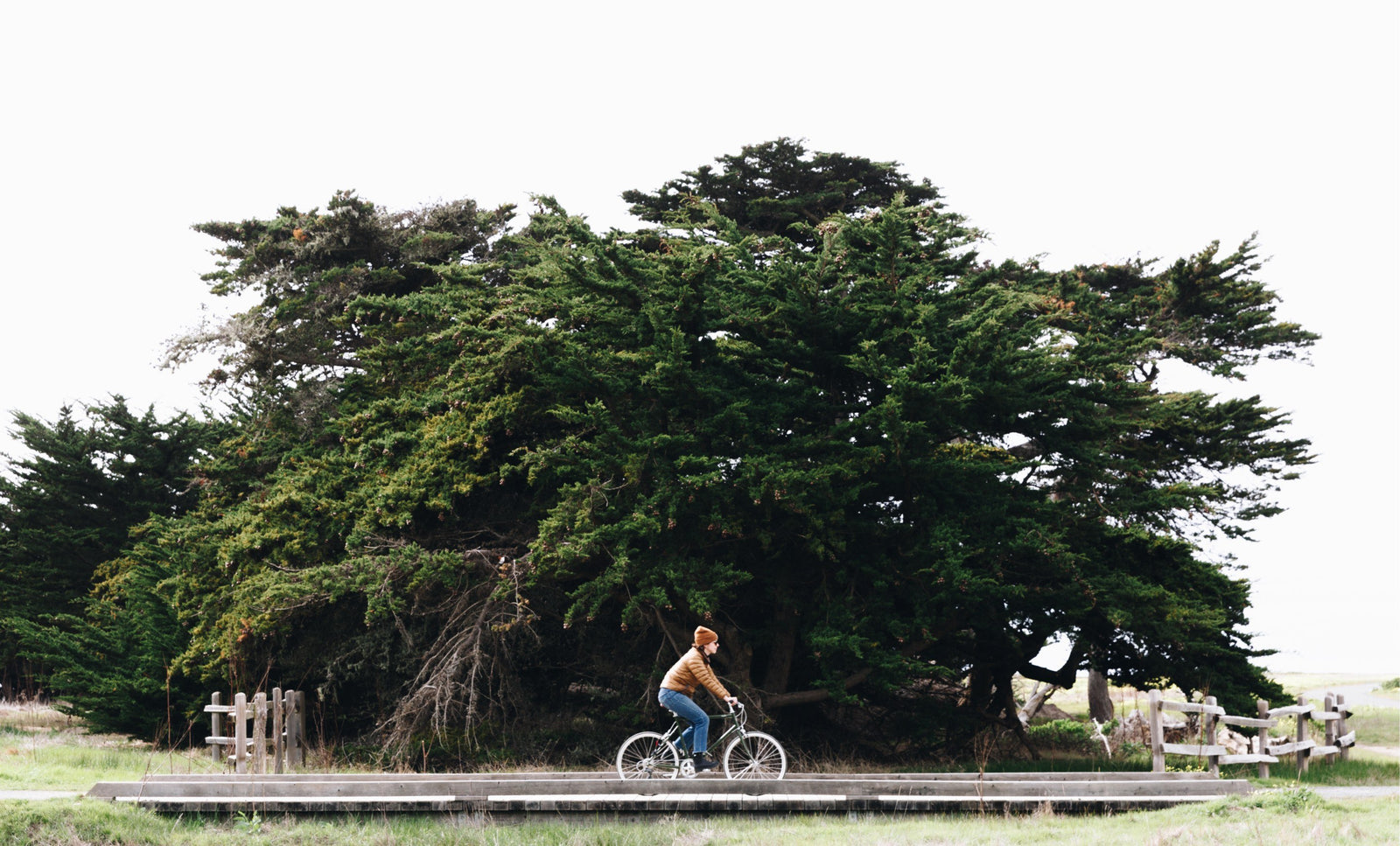 tokyobike Riders Club