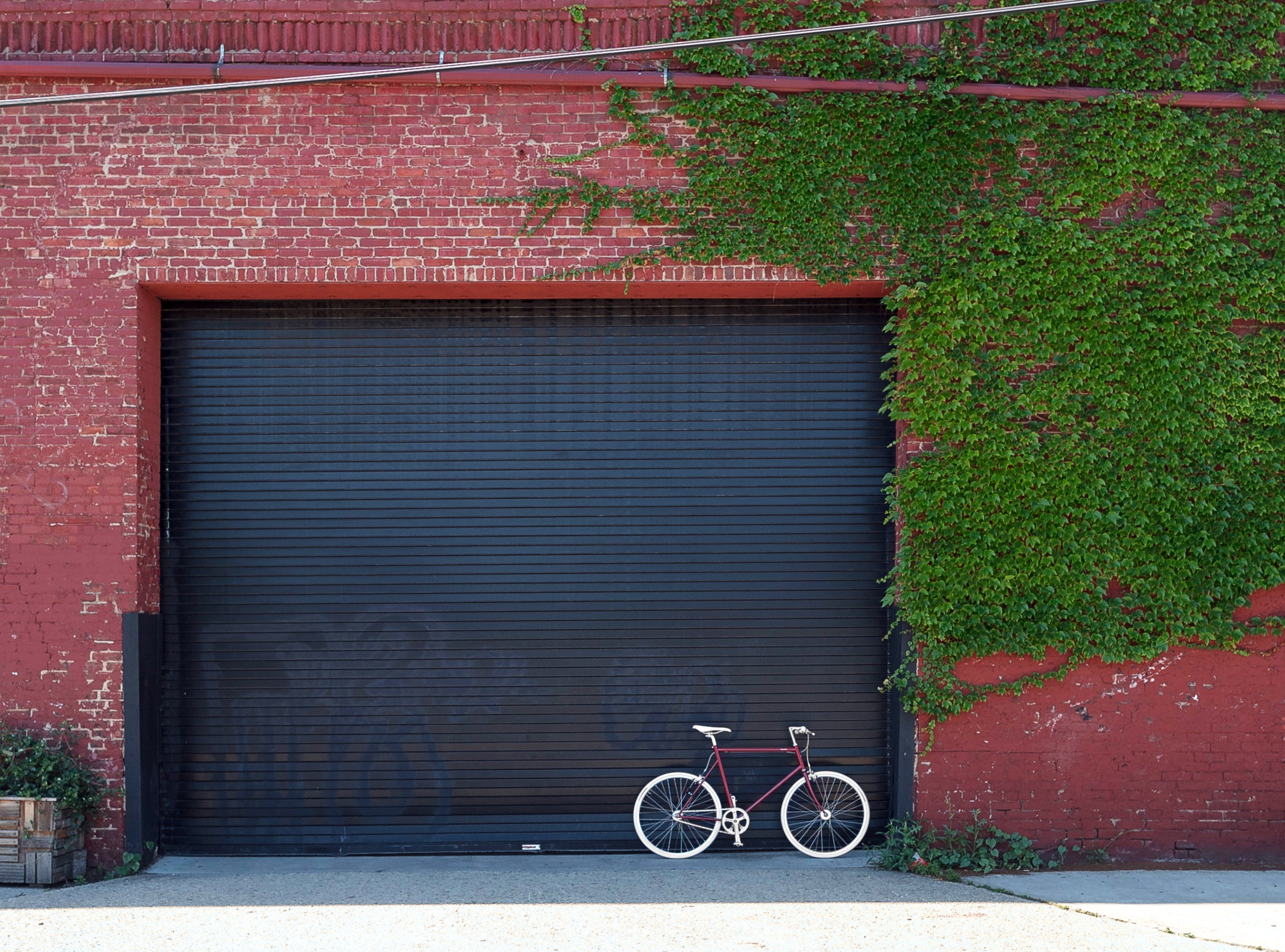 New York Summer Days